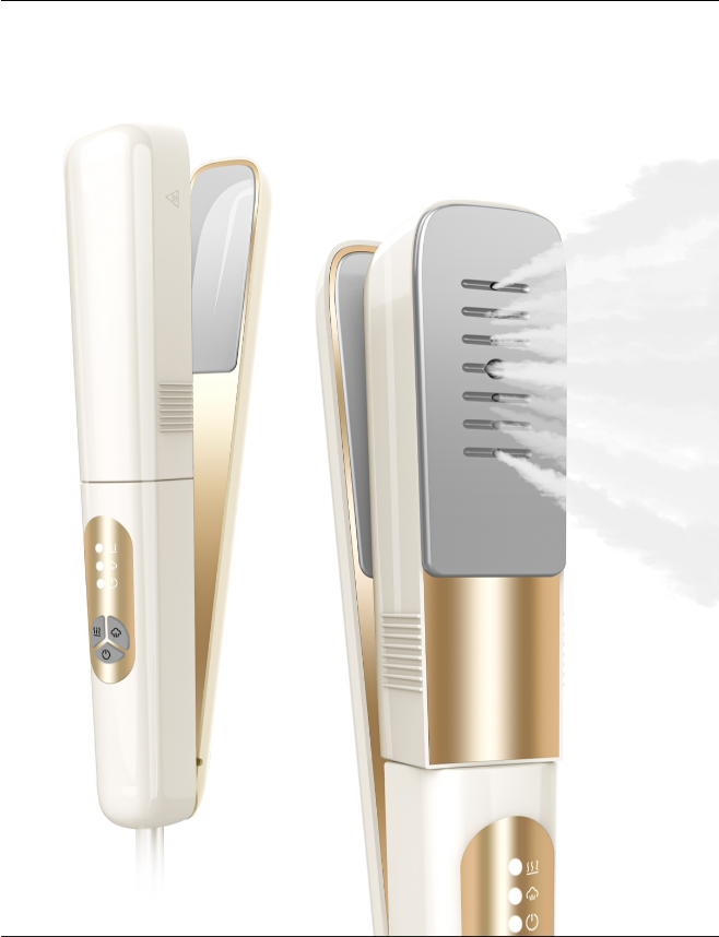 Plancha de vapor de mano RYLENA